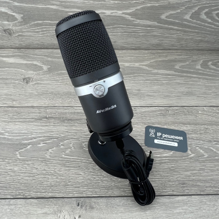 AVerMedia AM310, USB микрофон